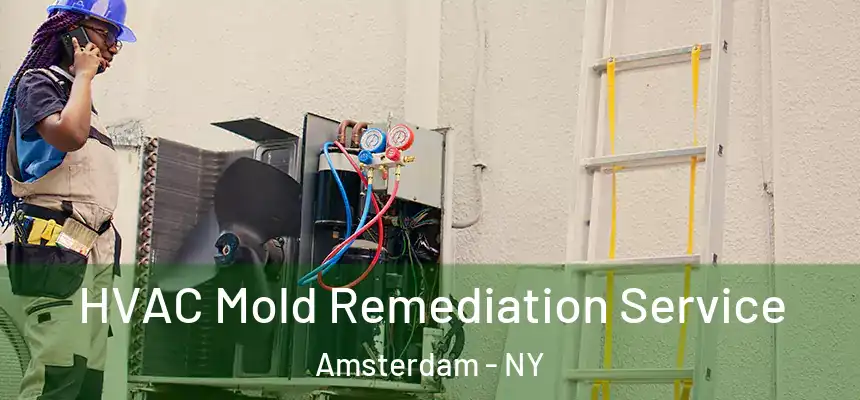  HVAC Mold Remediation Service Amsterdam - NY
