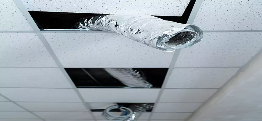 Affordable HVAC Sanitizing After Pest Removal in Amsterdam