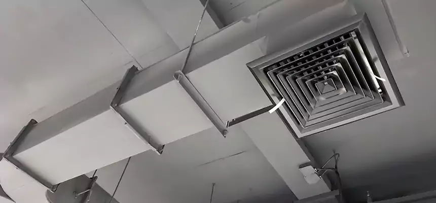 Restorative Allergy Relief Vent Cleaning – Coil, Blower & Housing Detail in Amsterdam