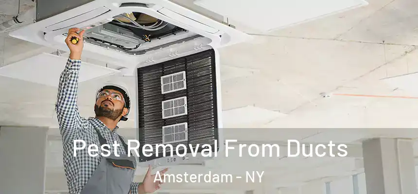  Pest Removal From Ducts Amsterdam - NY