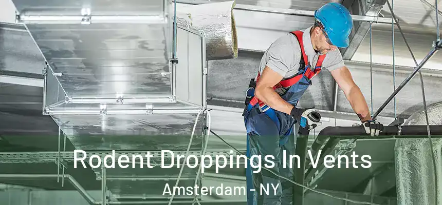  Rodent Droppings In Vents Amsterdam - NY