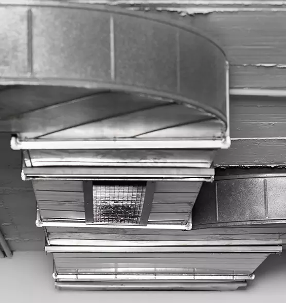 Professional Air Duct Pet Hair Removal in Amsterdam, NY