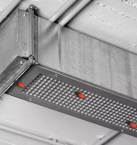 Affordable Insect Removal from Air Ducts in Amsterdam, NY