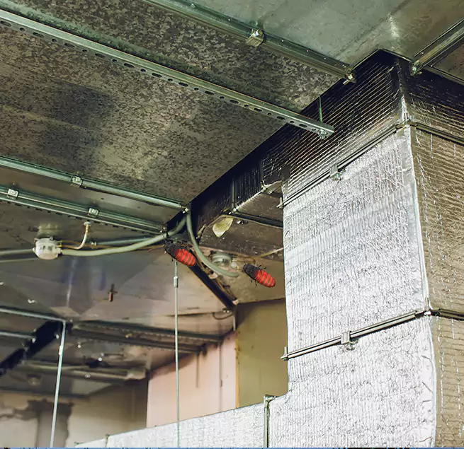 Why Homeowners & Businesses Trust Us in Amsterdam, NY?