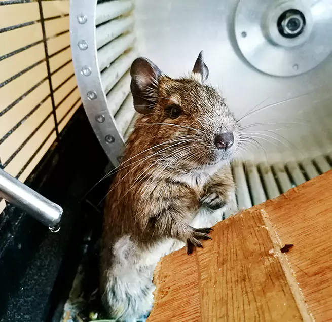 Why Homeowners & Businesses Trust Us Amsterdam, NY