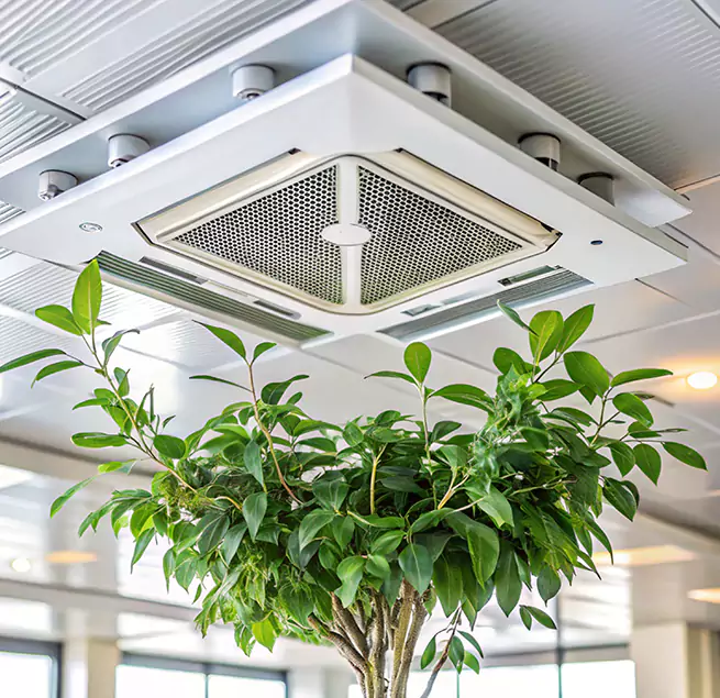 Why Homeowners & Businesses Trust Us in Amsterdam, NY